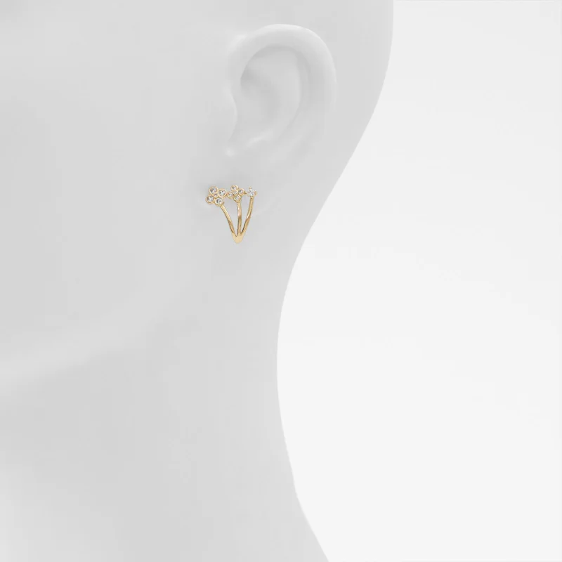 ALDO Asieweth Women's Earrings